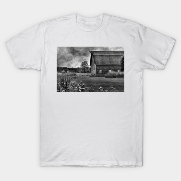 Rural Repose T-Shirt by bgaynor